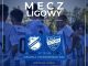 Derby gminy Krzeszowice: Sankowia Sanka – Victoria Zalas